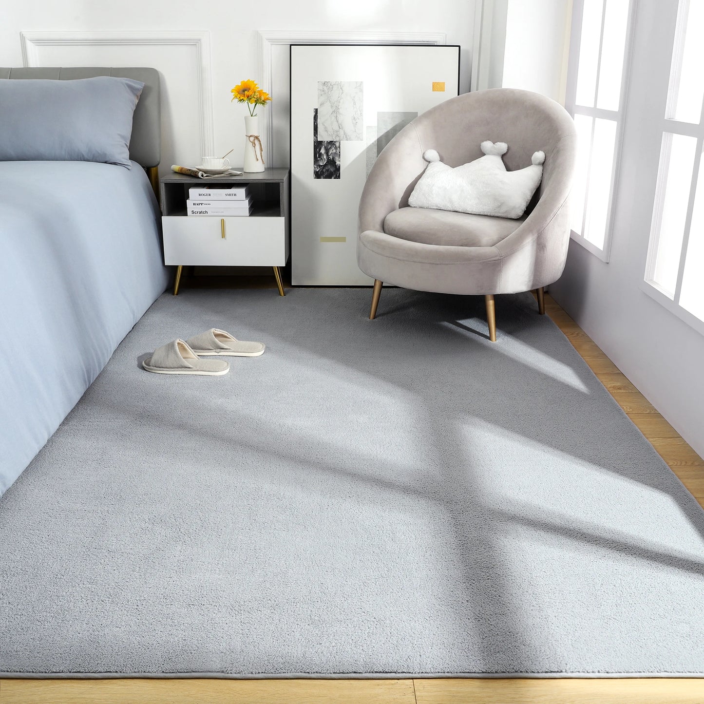 Living Room Carpet