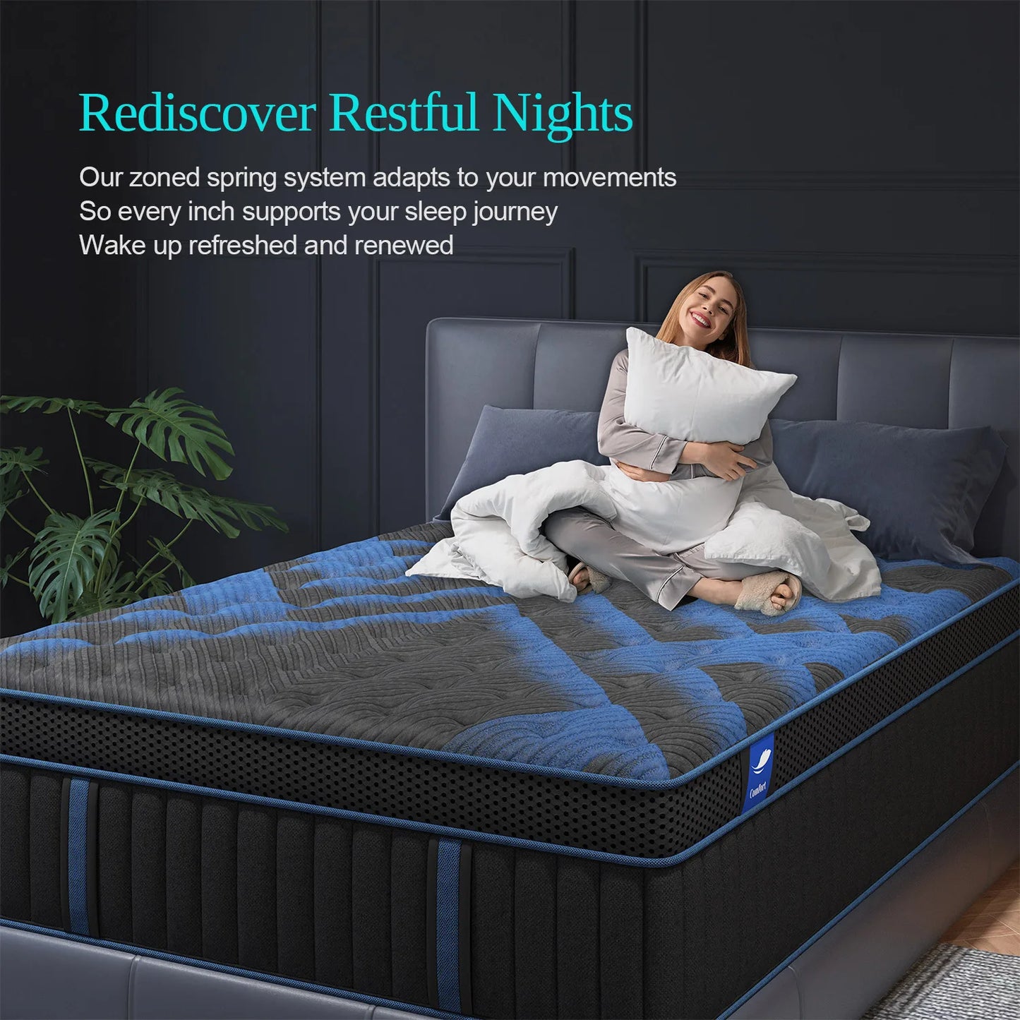 ZetaTech: The Nubula